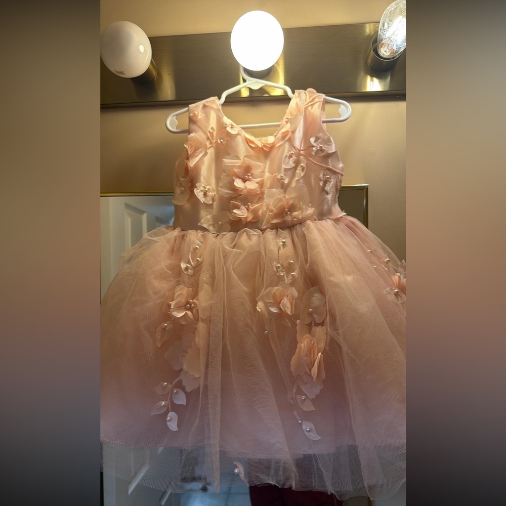Girls Size 2 Blush Pink Floral Applique Tulle Party Dress w/ Satin Bow